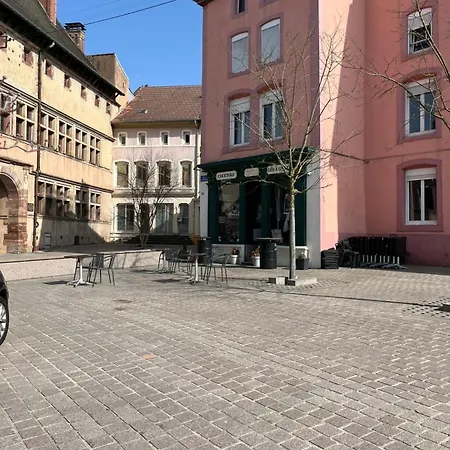 Tres Calme Avec Terrasse 10 Personnes Maxi Apartamento *